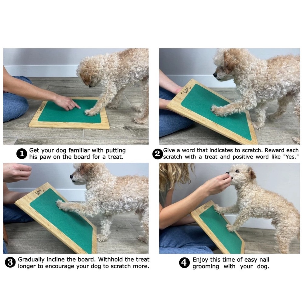 Zenly Paws Bamboo Dog Nail Scratch Board Green with 2 Replacement‎ Pads - Picture 10 of 12